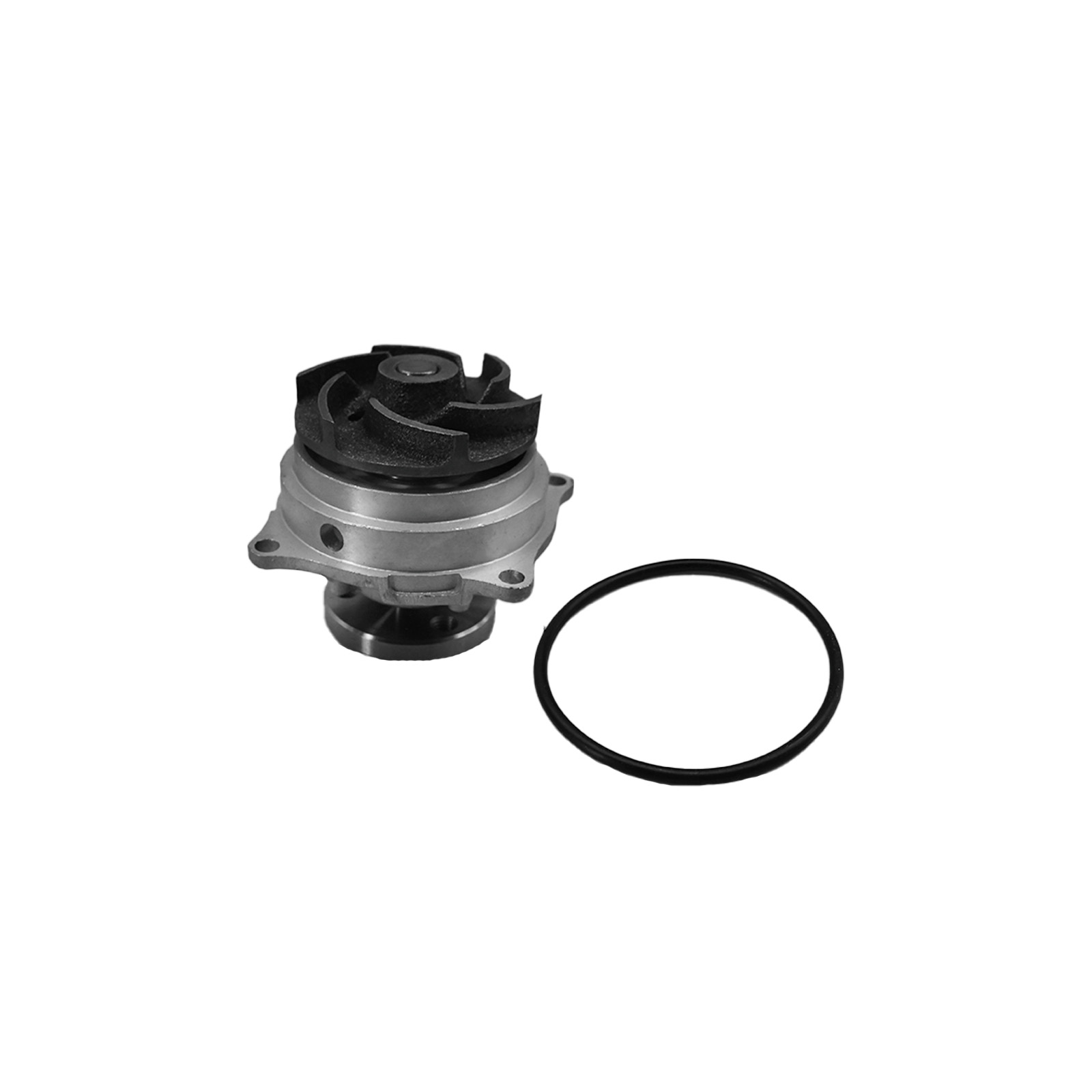 bomba-de-agua-dolz-us-4115d